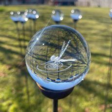 5061098722248 1 3D Crystal Ball Decorative Garden Stake Ornament Dragonfly.jpg